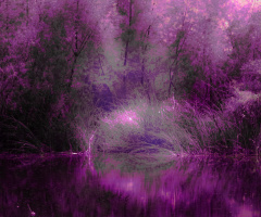 InfraRed Eye Of Horus