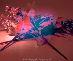 Indoor Infrared Experimentation