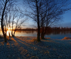 ... frost