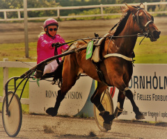 At full speed to the finish line