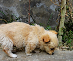 Exploring his new world.....