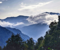 Beni görün: Artvin