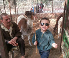 My grandson in the Zoo 