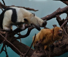 Friends playing