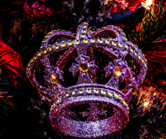 Merry Christmas  -  2016