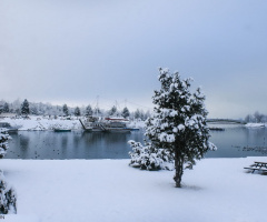 snow