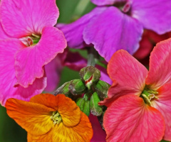 Colorful moment