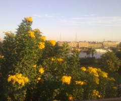 Egypt - Aswan