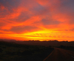 Golden Dusk.....