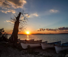 Gõlyazı