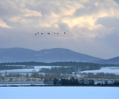 ...winter
