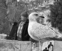 ''Umutsuzlar Parkı''