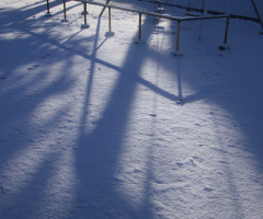 morning silence…