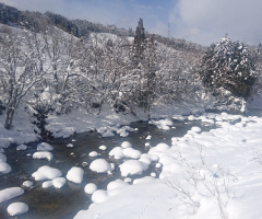 snow