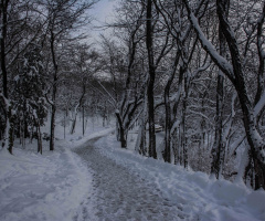 Sonsuza Giden Yol