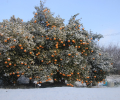 It was snow…