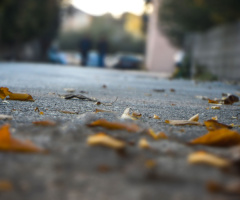 #autumn #leaf