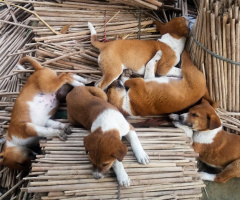 Sleeping Time