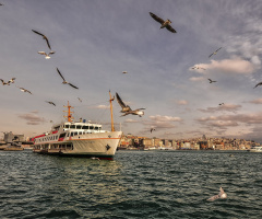 MARTI ÇIĞLIĞI