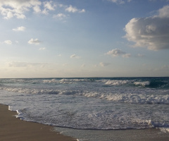 Egypt - North coast winter