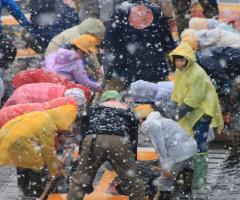 snow fall