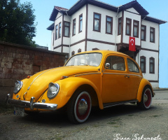 sarı vosvos