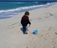 Egypt - North coast winter