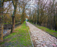 Bandırma Kuş Cenneti Milli Park