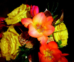 BLUMENSTRAUSS