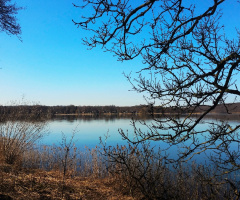 By the lake