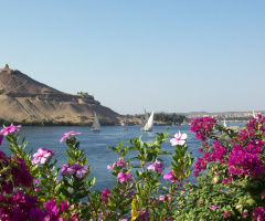 Egypt - Aswan