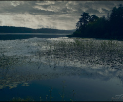 The lake