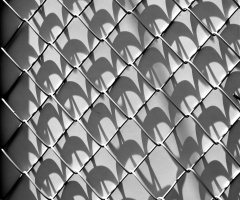 shadows