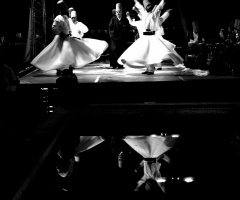 Minicix Life  DERVISH 
