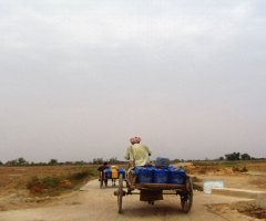 In search of drinking water :(