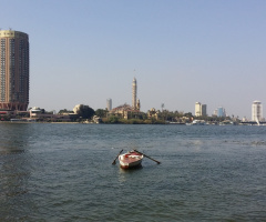Egypt - Cairo - Nile fluke