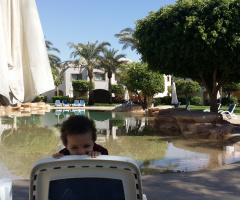 Egypt - grandson weekend