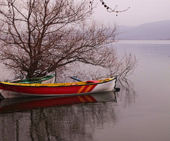 Gölyazı'dan