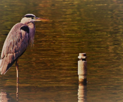 Standing still 