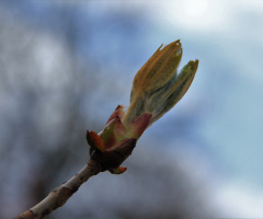 Spring is here