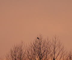 Sonnenaufgang