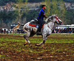 SOLUK SOLUĞA