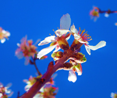 Spring....