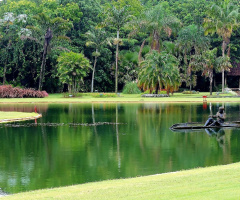 Little Paradise