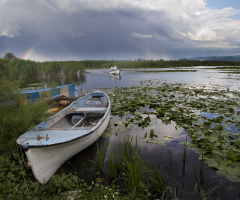 Uluabat