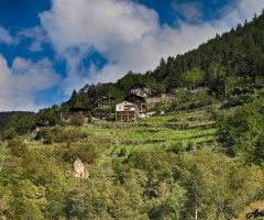 Giresun Yaylaları