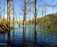 DOĞA İLE