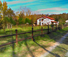 Güzellik Ve Huzur