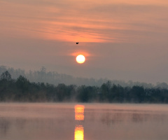 ... morning fog