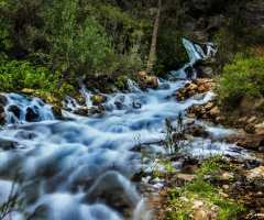 Su Akar yolunu Bulur